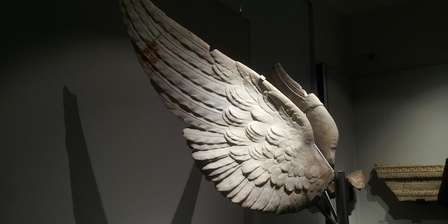 Museo Palatino