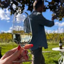 Da Roma: Tour di mezza giornata del vino di Frascati con pranzo in agriturismo