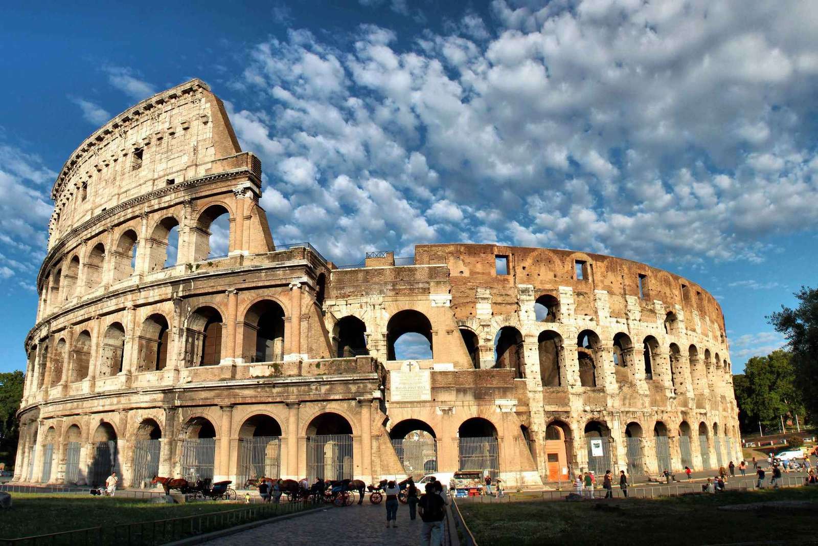 Roma: Tour privato del Colosseo, del Foro Romano e del Palatino