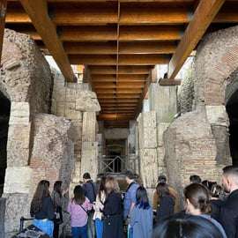 Roma: tour esclusivo del Foro Romano e del Colosseo sotterraneo