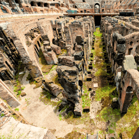 Roma: Tour guidato del Colosseo, dell'Arena, dei Fori e del Palatino