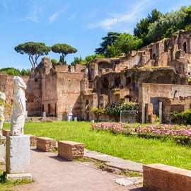 Roma: Ingresso al Foro Romano con Super Pass e App per audioguida