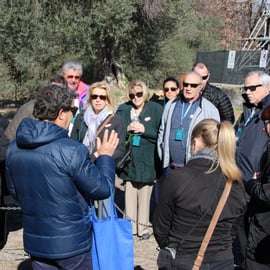 Da Roma: Tour di un giorno di Villa D'Este e Villa Adriana a Tivoli