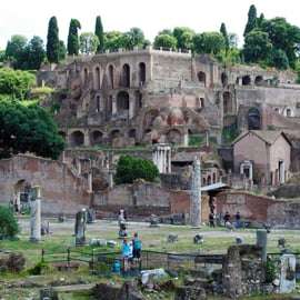 Roma: Tour privato del Colosseo, del Foro Romano e del Palatino