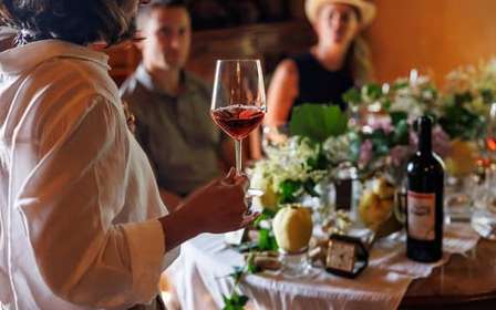 Roma: Tour privato di degustazione di vini di campagna