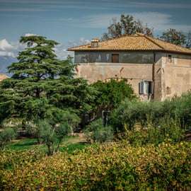 Frascati: tour di mezza giornata del vino