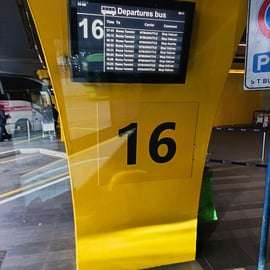 Bus navetta tra Fiumicino e il Vaticano