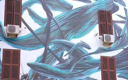 Tour dell'arte di strada a Roma: fuori dai sentieri battuti con una guida locale