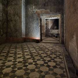 Roma: tour guidato della Domus Aurea con esperienza VR