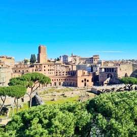 Roma: Tour guidato dell'Arena del Colosseo, Opzione Foro e Palatino
