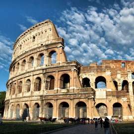 Roma: Tour privato del Colosseo, del Foro Romano e del Palatino