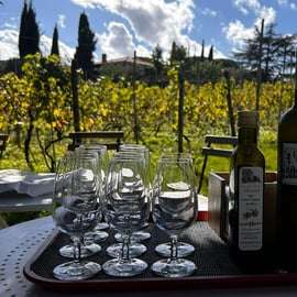 Da Roma: Tour di mezza giornata del vino di Frascati con pranzo in agriturismo