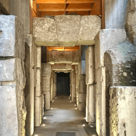Roma: Tour guidato del Colosseo, dell'Arena, dei Fori e del Palatino