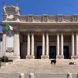 Biglietto per la Galleria Nazionale d'Arte Moderna e audioguida per Roma