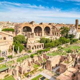 Roma: Tour dell'Arena del Colosseo, del Foro Romano e del Palatino