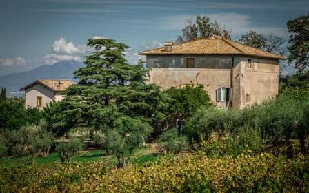 Frascati: tour di mezza giornata del vino