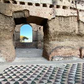 Roma: Terme di Caracalla e Circo Massimo - Privato o condiviso