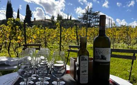 Da Roma: Tour di mezza giornata del vino di Frascati con pranzo in agriturismo